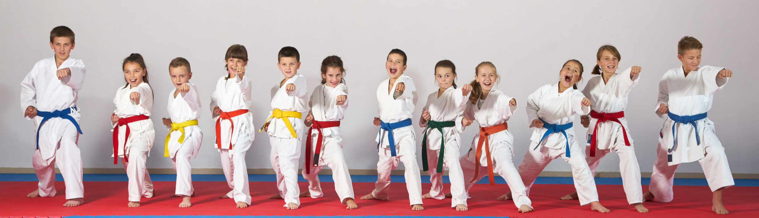 Cerezos Martial Arts Children's Program